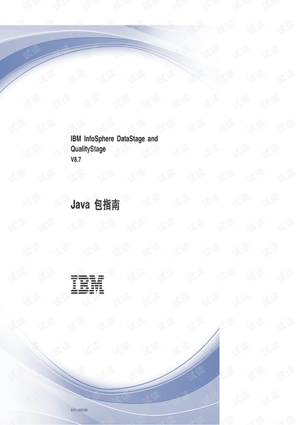IBM Datastage Java 包开发手册简体中文版