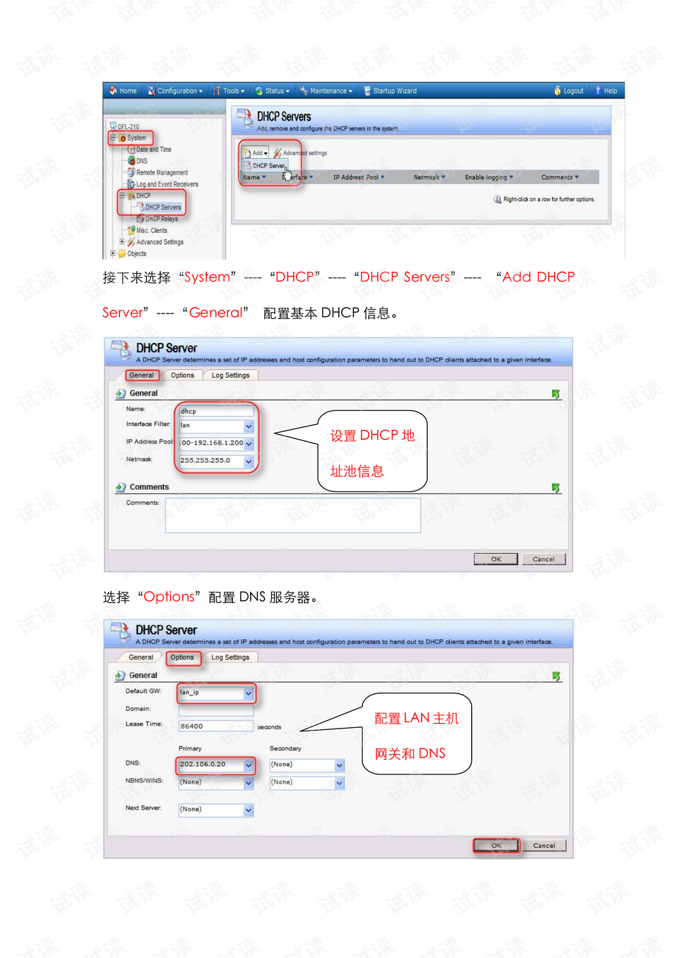 dfl210配置示例