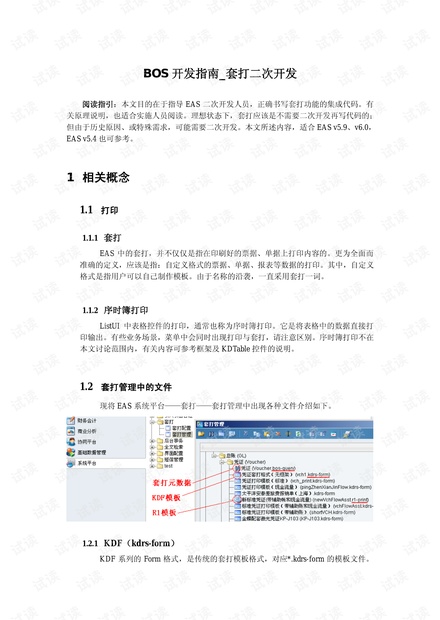 BOS V6.2开发指南_套打二次开发