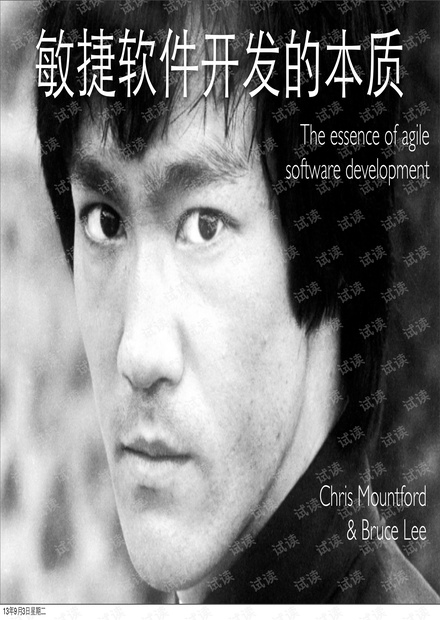 Chris Mountford:敏捷软件开发的本质