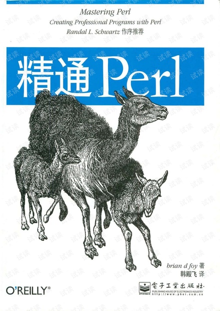 精通Perl_中文版_扫描版