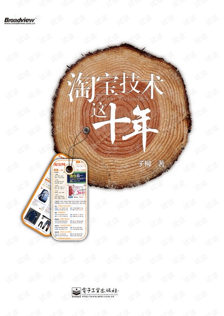 淘宝技术这十年试读样章
