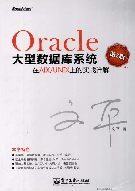 Oracle大型数据库系统在AIX UNIX上的实战详解(第2版)(文平)高清PDF扫描版