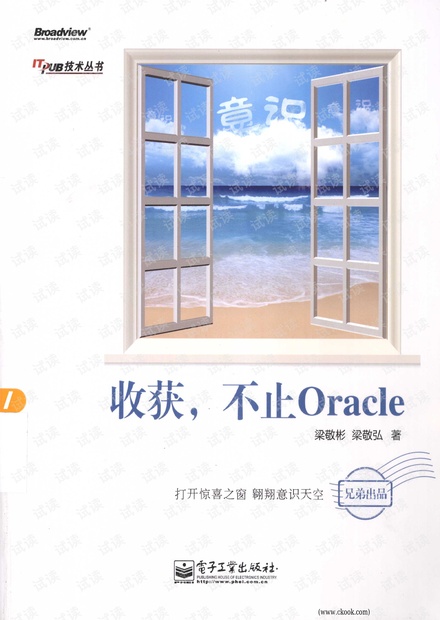 收获 不止Oracle 梁敬彬 梁敬弘 PDF扫描版