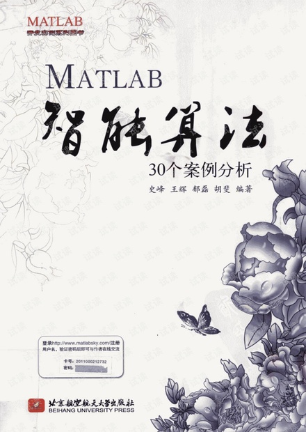 matlab智能算法30个案例分析