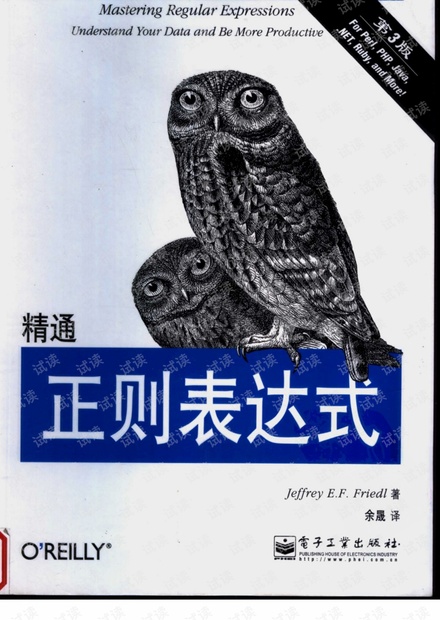 精通正则表达式(第三版).(美)佛瑞德. PDF 扫描版