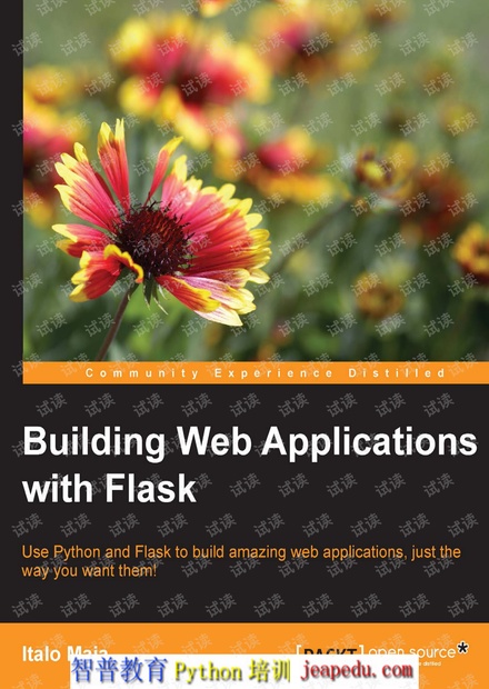 Building Web Applications with Flask.pdf