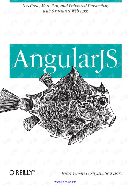 AngularJS高级编程(英文原版)