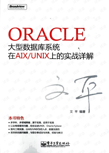 ORACLE大型数据库系统在AIX/UNIX上的实战....pdf
