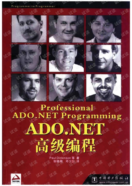 ADO.NET高级编程